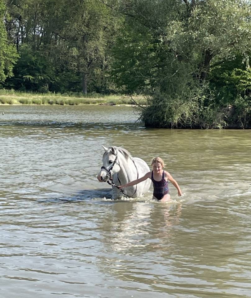 Ponette welsh Bmax 11 ans 