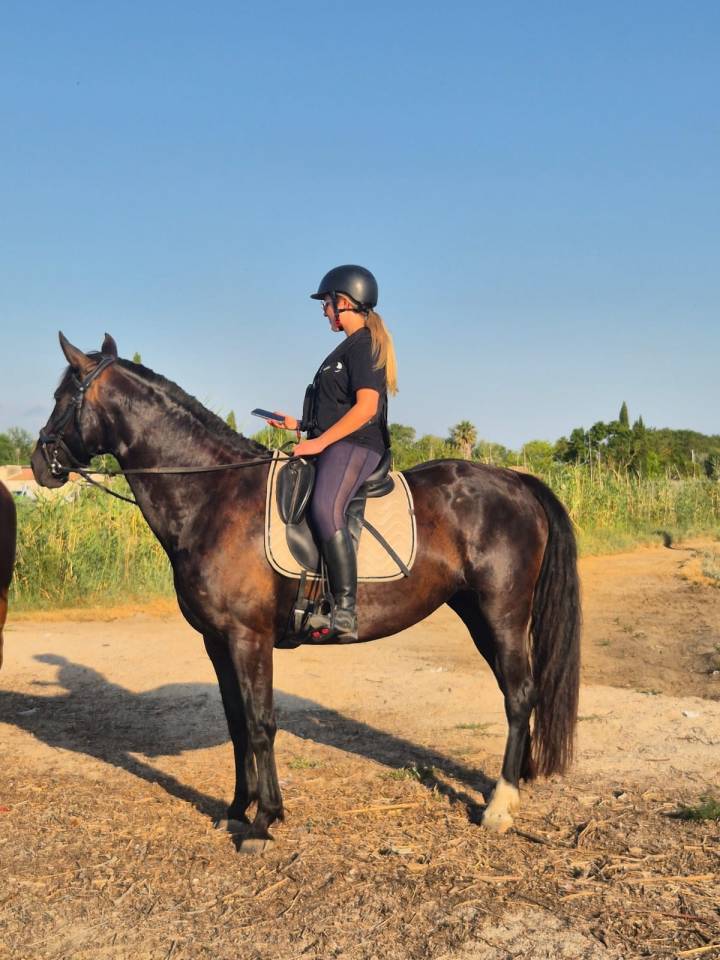 Jument ONC noire &ndash; 8 ans 