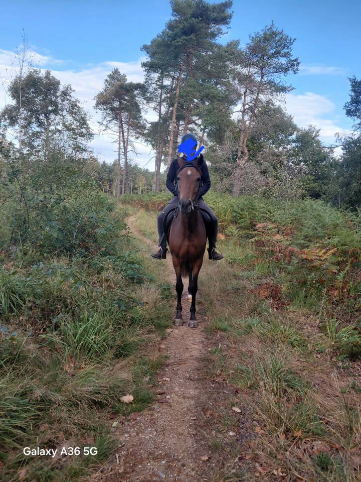 Jument OC de 3 ans &ndash; 1m47