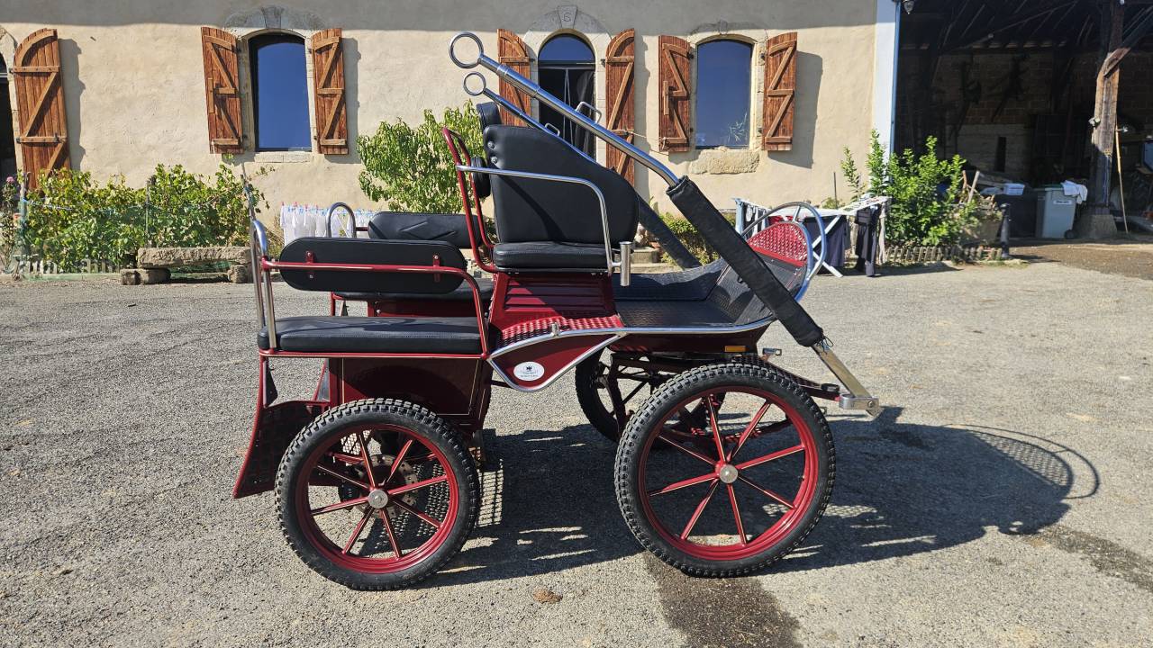 Voiture hippomobile - Marathon training