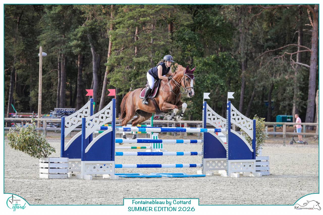 Cheval Kannan x Papillon Rouge 