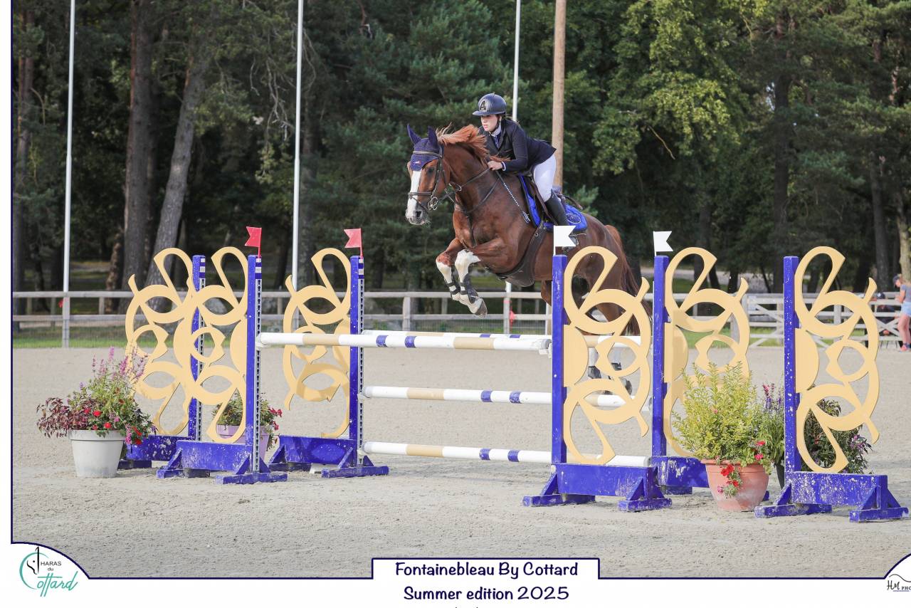 Cheval Kannan x Papillon Rouge 