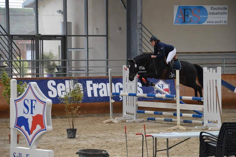 Hongre 158 gagnant cso 110