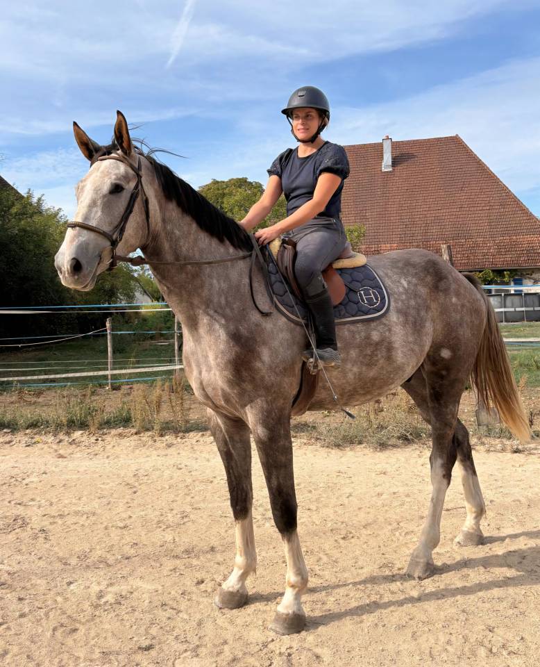 Hongre de 4 ans par Helios d'Helby