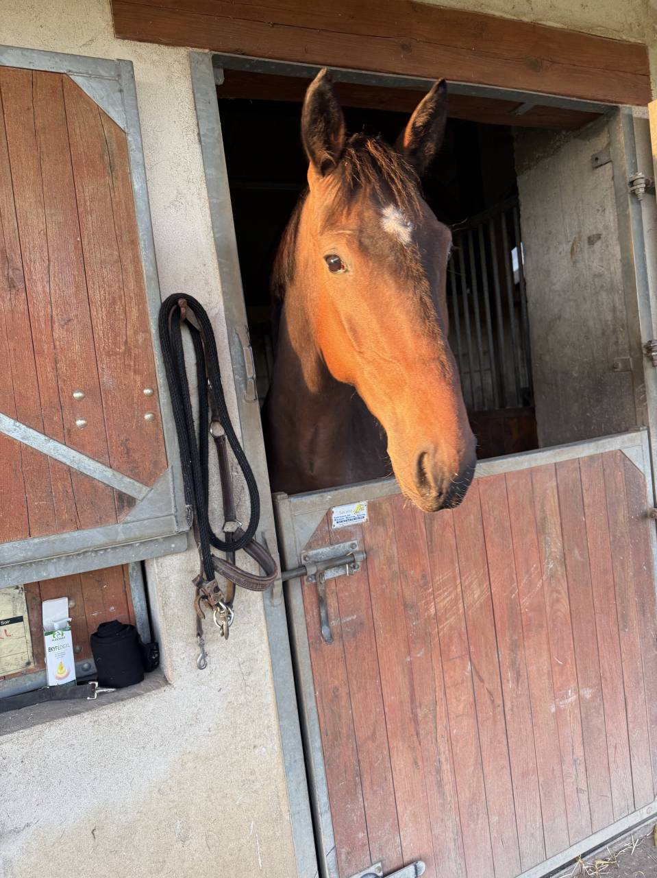 Cheval