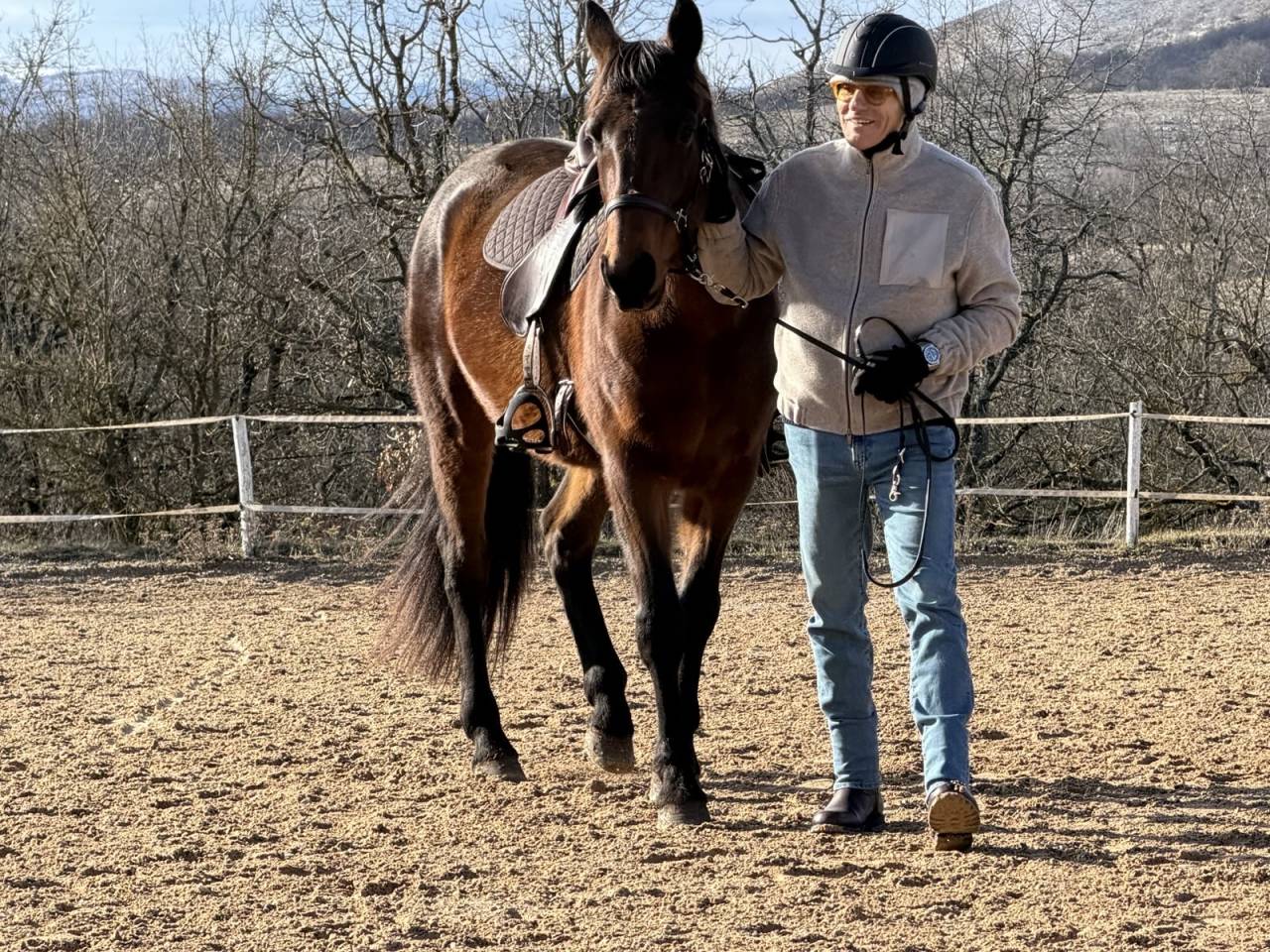 &Agrave; vendre hongre trotteur fran&ccedil;ais - 8 ans - 1.68m
