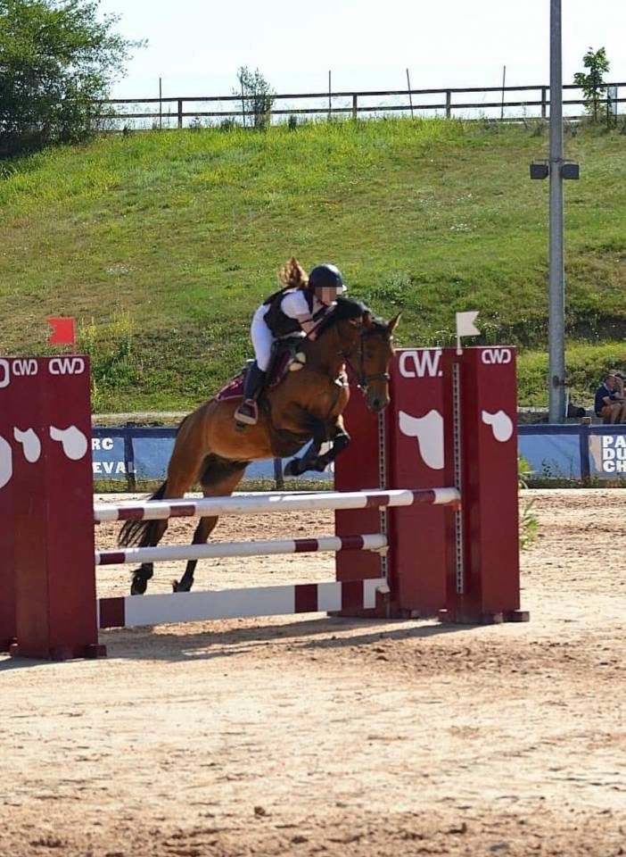 Poney polyvalent 5 ans cce, cso