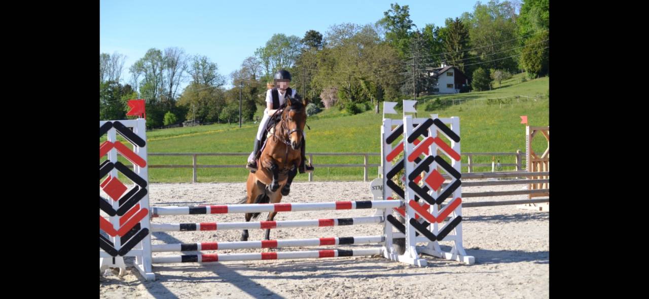 Poney polyvalent 5 ans cce, cso