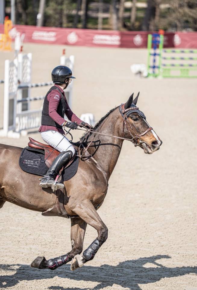 &Agrave; vendre cheval de sport