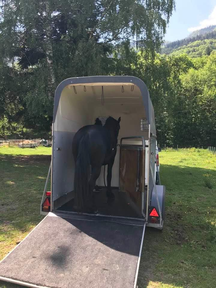 &Agrave; VENDRE &ndash; VAN CHEVAL LIBERT&Eacute; GOLD 1 &ndash; 1,5 PLACE