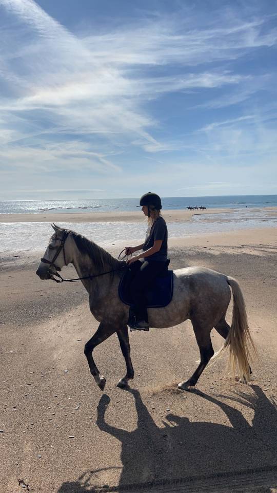 Cheval Hongre Lusitanien Gris 11ans 1m60 Rando/Dressage
