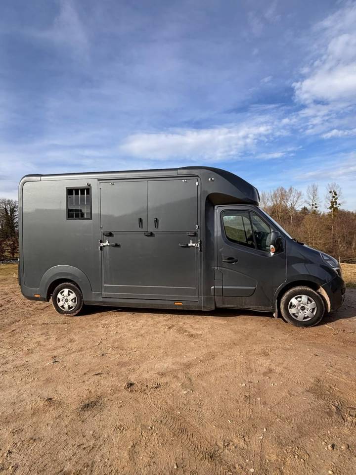 CAMION CHEVAUX Movano 