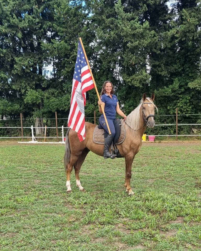 Magnifique hongre palomino 