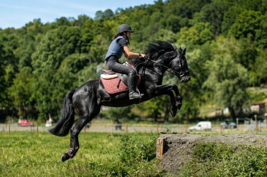 &eacute;talon M&eacute;rens Agr&eacute;&eacute; 3 ans 