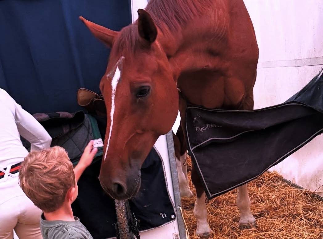 Top cheval d&rsquo;exp&eacute;rience 140-145 pour amateurs