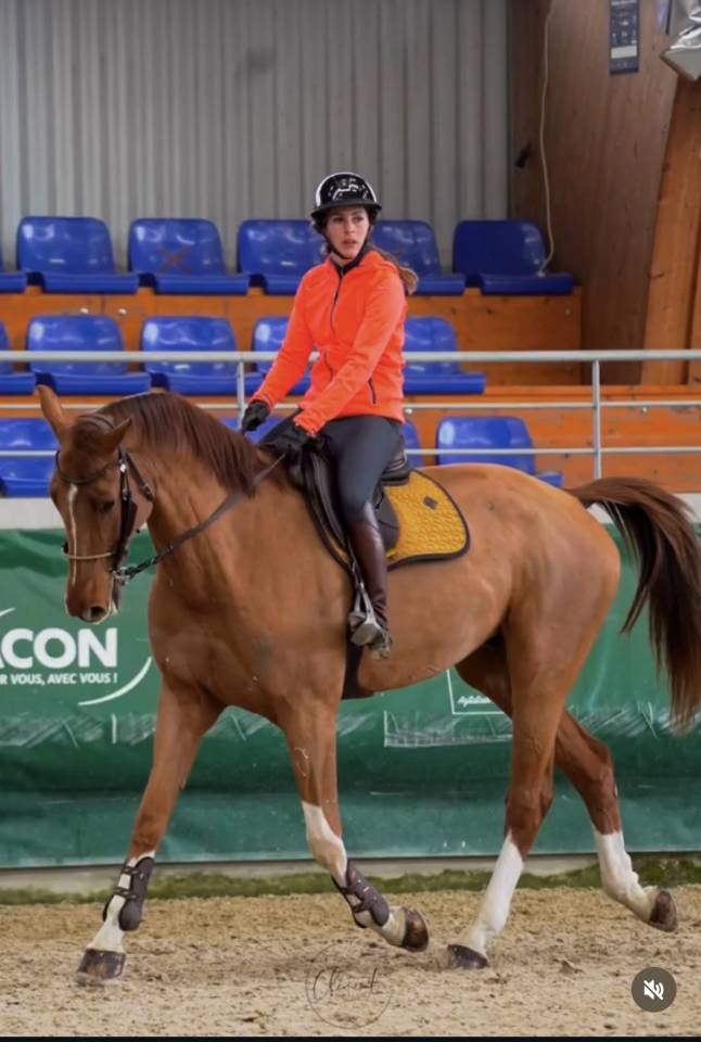 Top cheval d&rsquo;exp&eacute;rience 140-145 pour amateurs