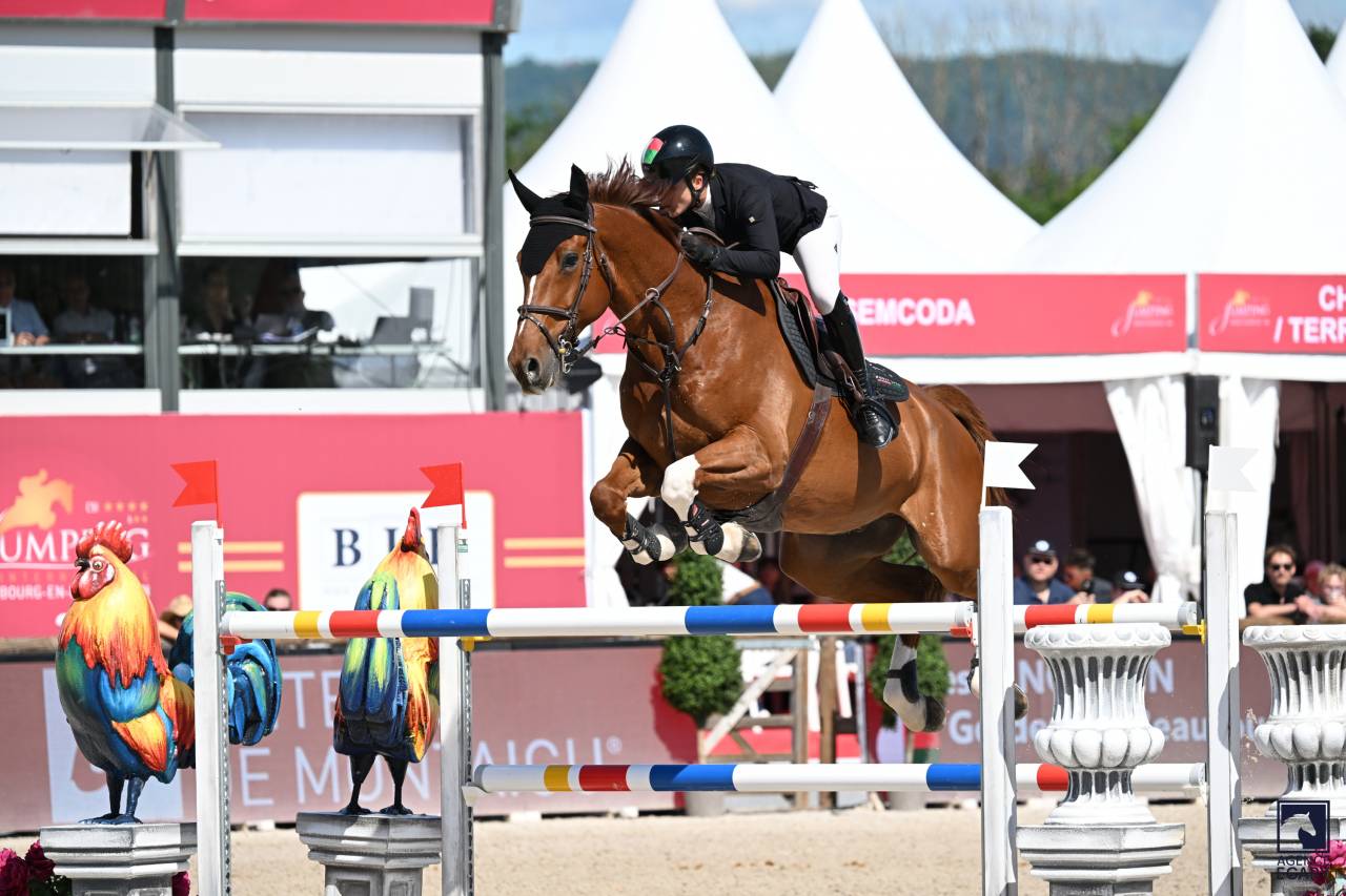 Top cheval d&rsquo;exp&eacute;rience 140-145 pour amateurs