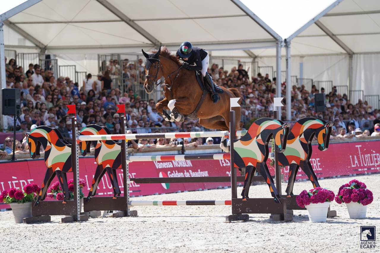 Top cheval d&rsquo;exp&eacute;rience 140-145 pour amateurs