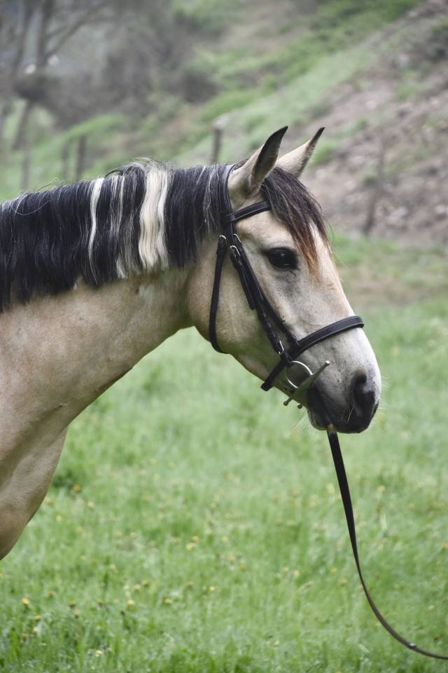 Ponette 7 ans 140cm