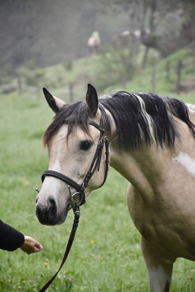 Ponette 7 ans 140cm