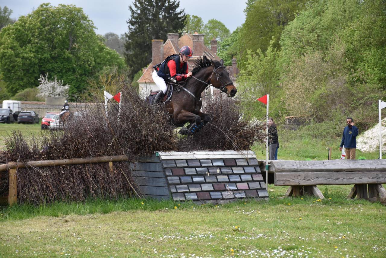 Jument de CSO/ CCE 