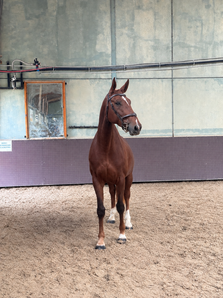3 ans par Kapitol d&rsquo;argonne