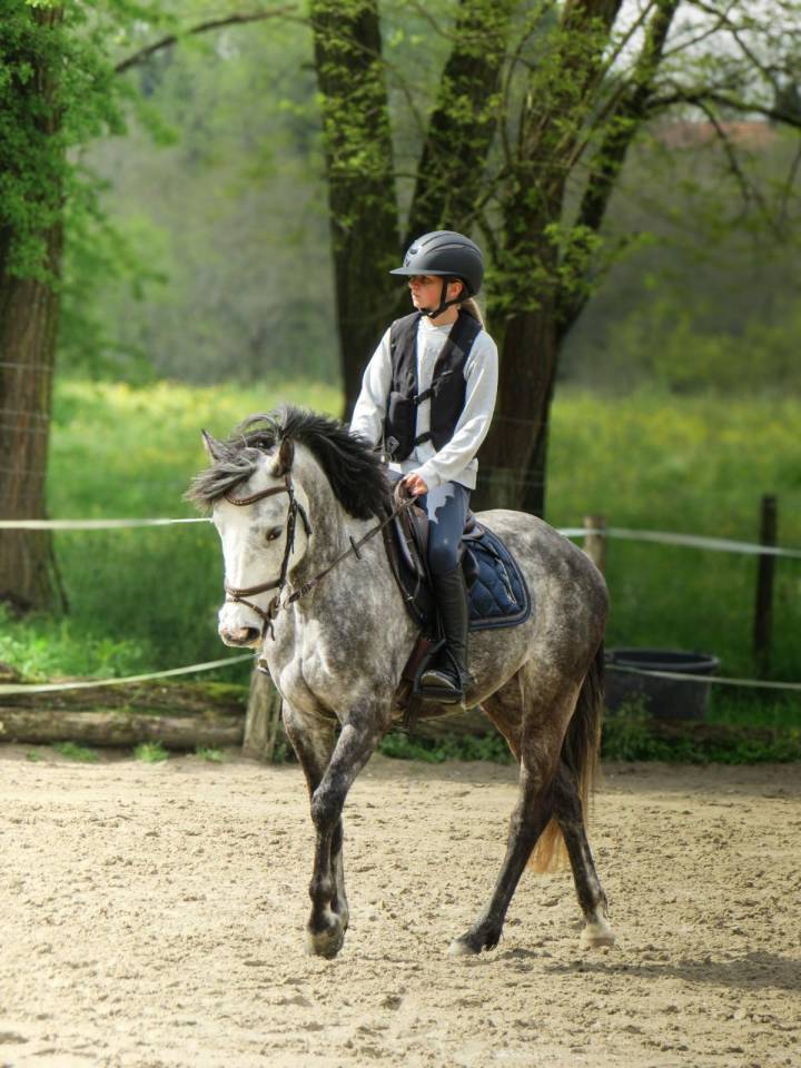 KALLAS DU CHAPELAN &ndash; PFS 148 cm &ndash; 6 ans &ndash; CSO