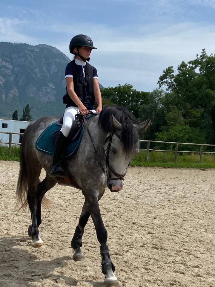 KALLAS DU CHAPELAN &ndash; PFS 148 cm &ndash; 6 ans &ndash; CSO