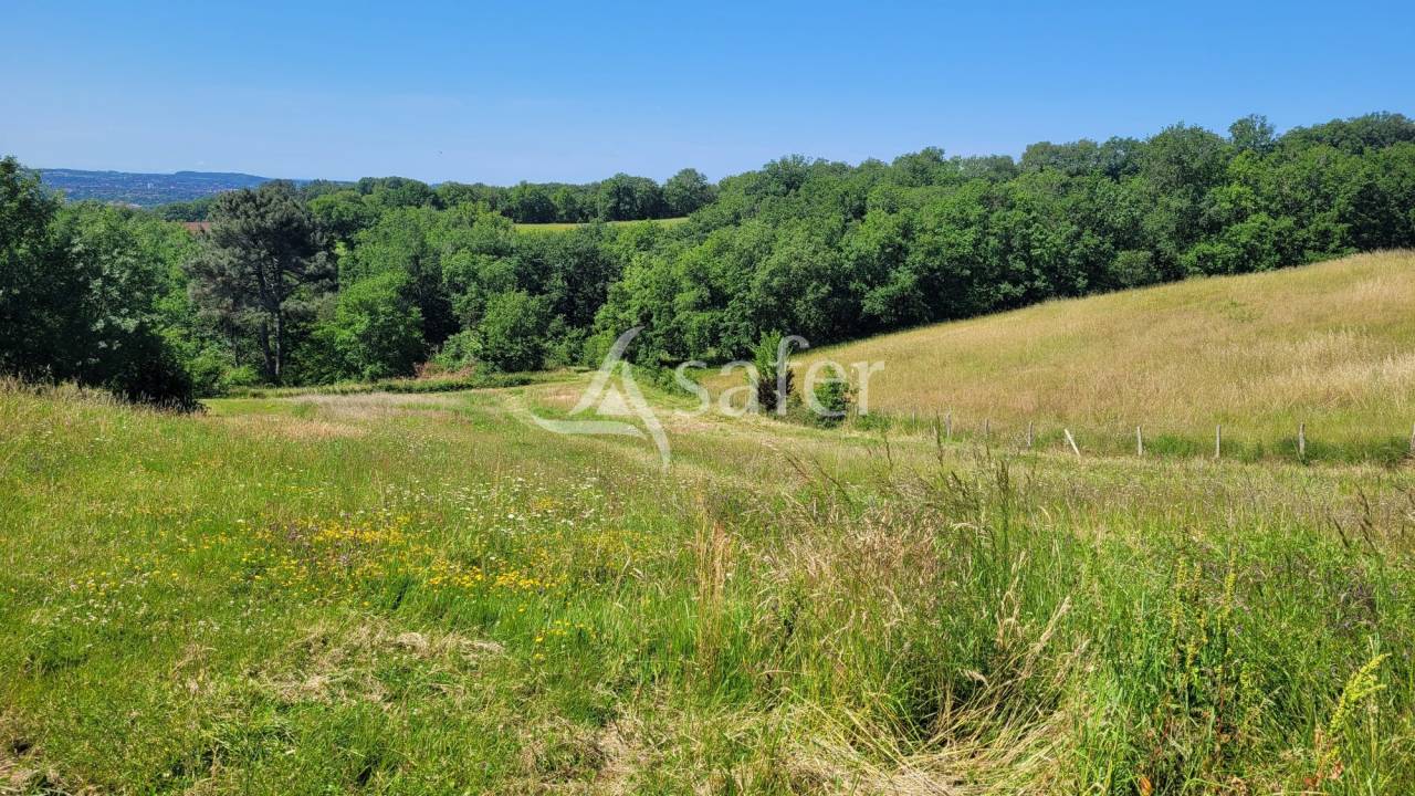 Propri&eacute;t&eacute; &eacute;questre Albi 8ha