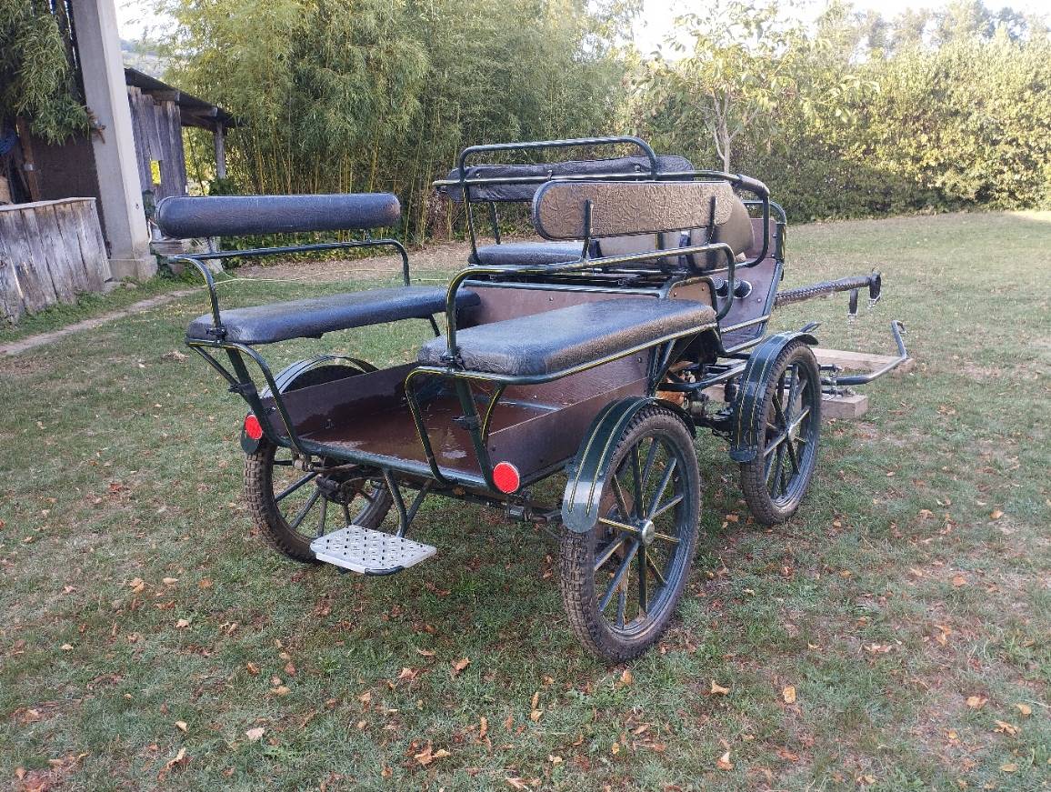 Cal&egrave;che de loisir 4 roues pour 6 personnes