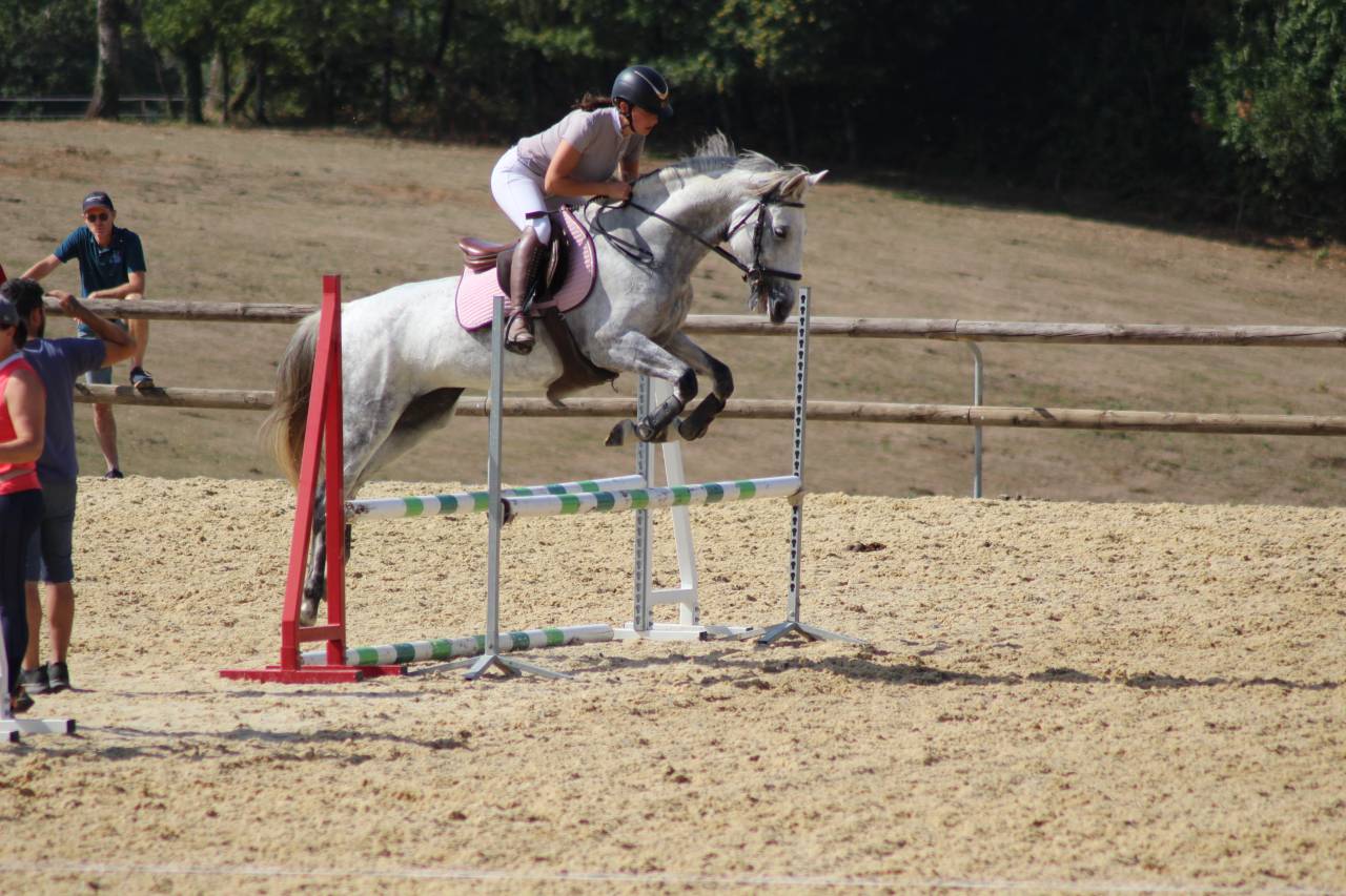Jument pour loisirs sportif 