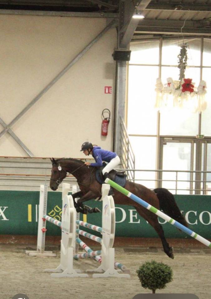 &Agrave; vendre hongre 3 ans SF