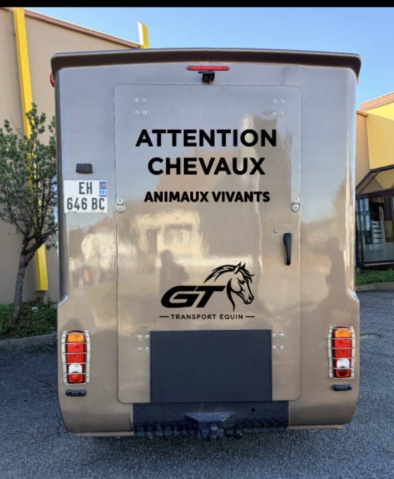 Transport chevaux - Gt transport equin - France et Europe
