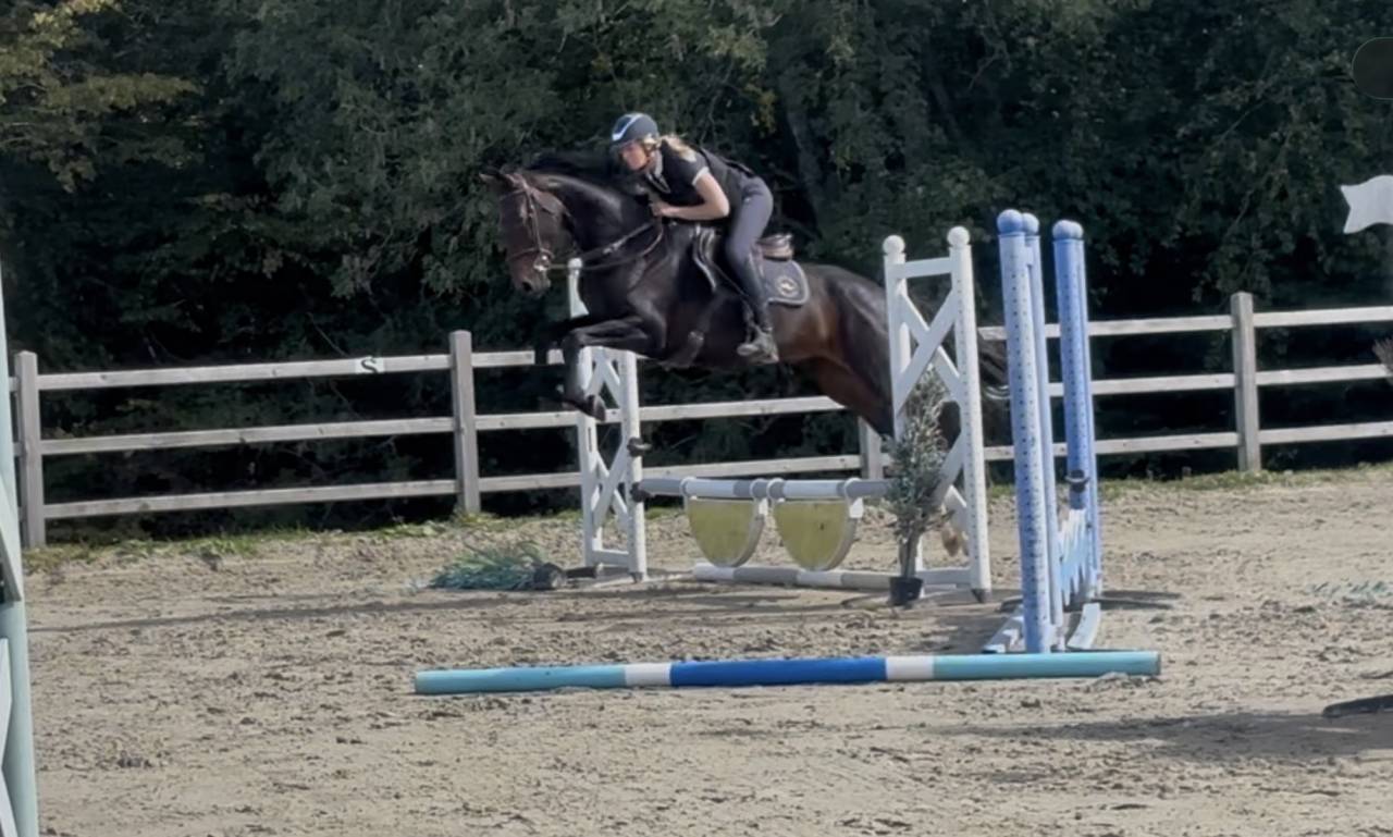 Franzie la danseuse polyvalente super dou&eacute;e 