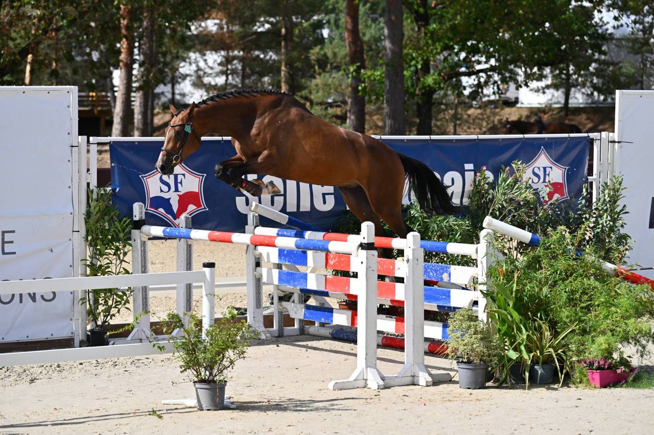 jument 5eme des championnat france femelle