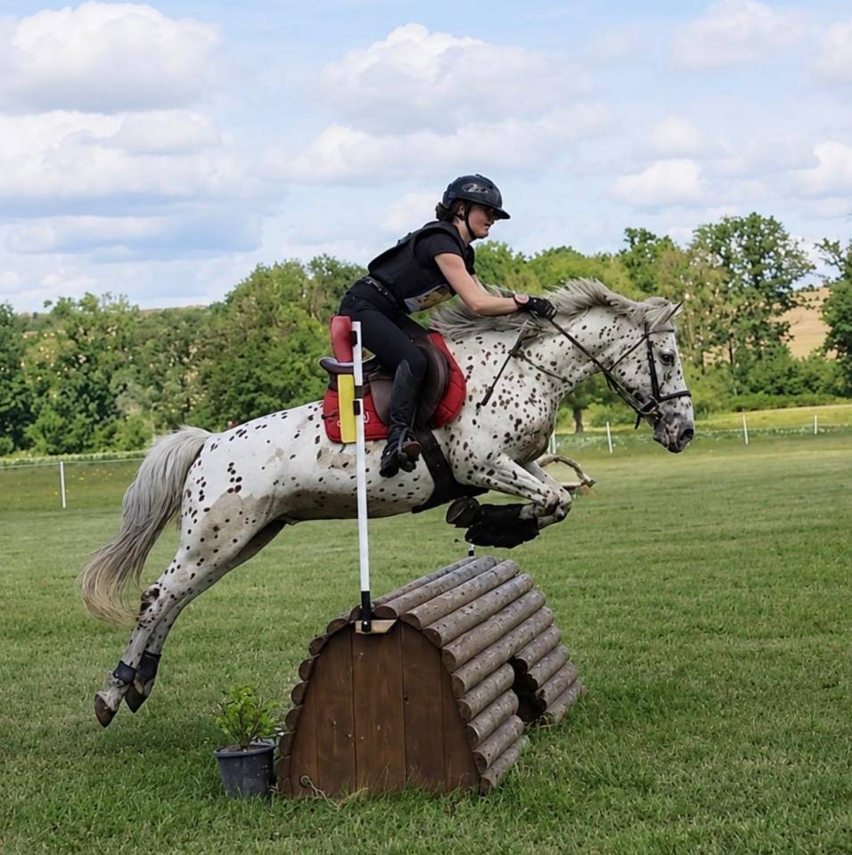 Poney D &agrave; vendre 