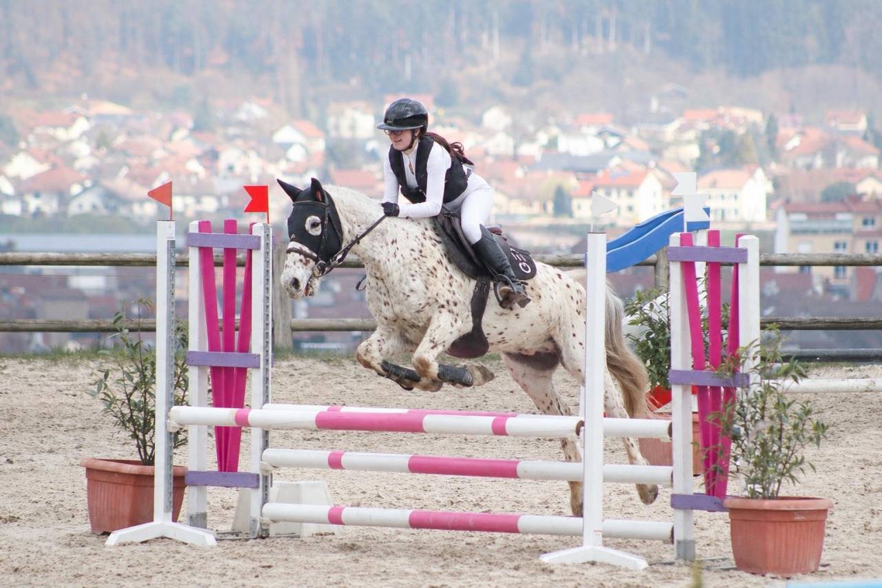 Poney D &agrave; vendre 