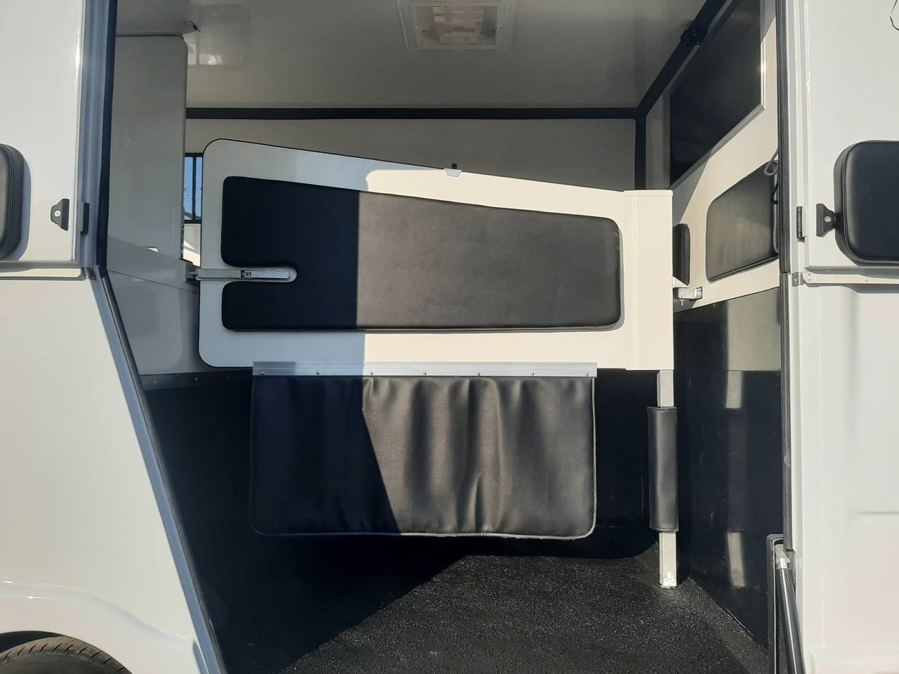 Renault Master - transport chevaux