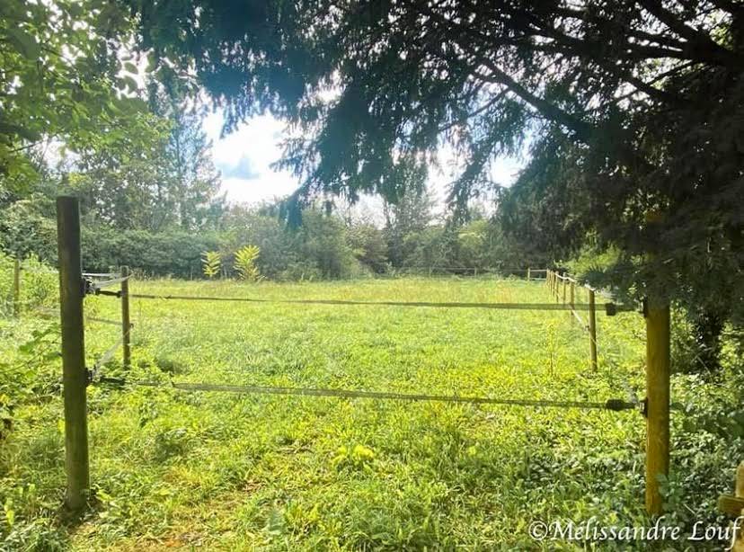 Ecurie et terrain constructible