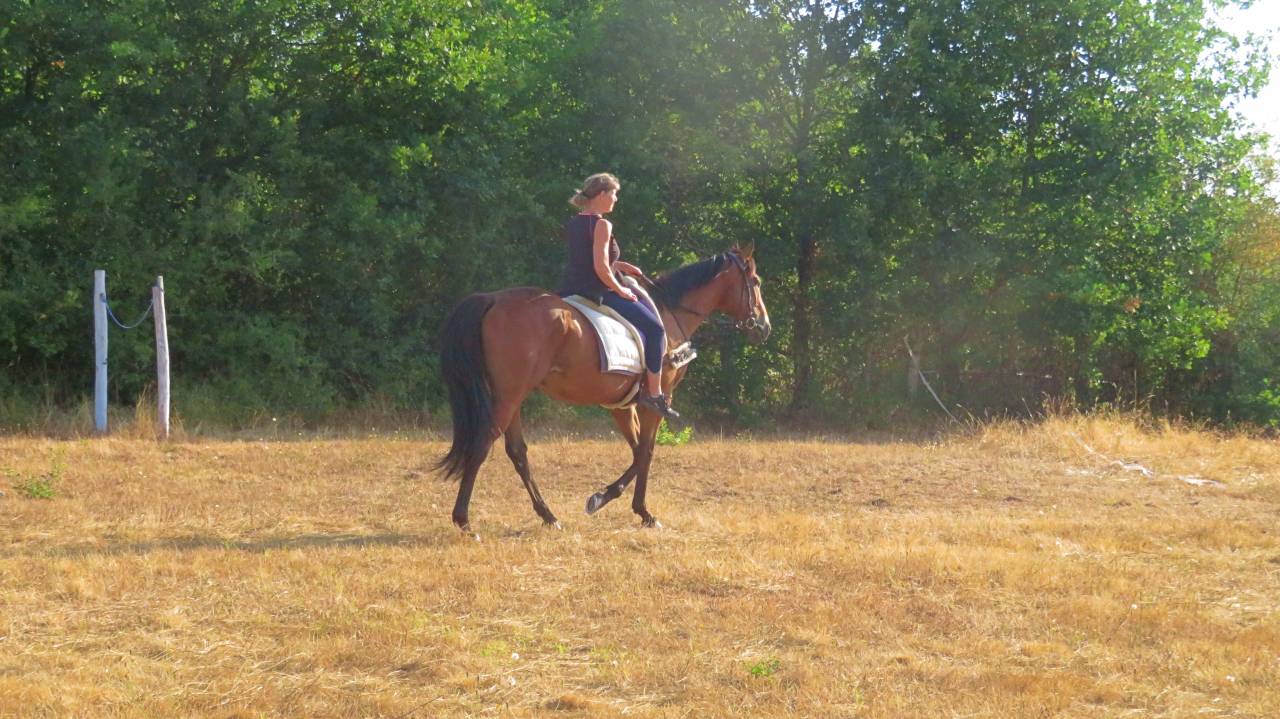 La m&eacute;thode &eacute;quine Imp&eacute;riale vous pr&eacute;sente les chevaux..