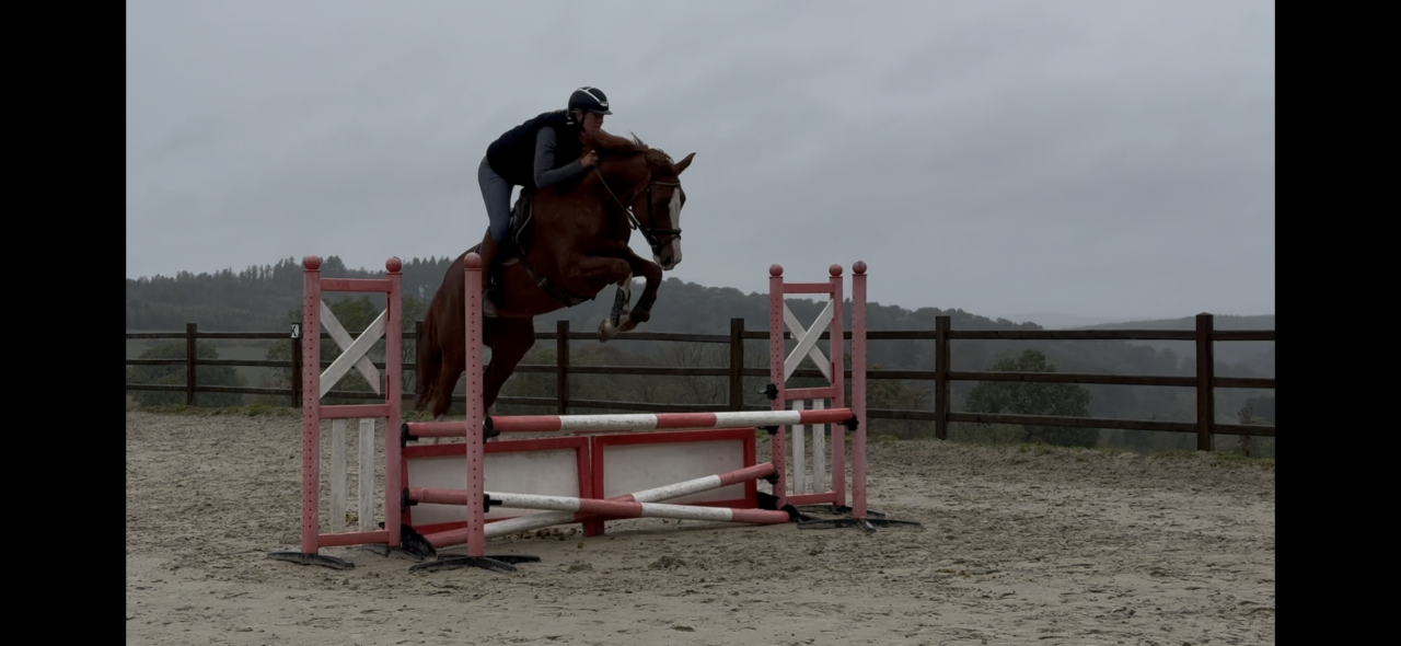 Superbe jument prometteuse en cso et cce  