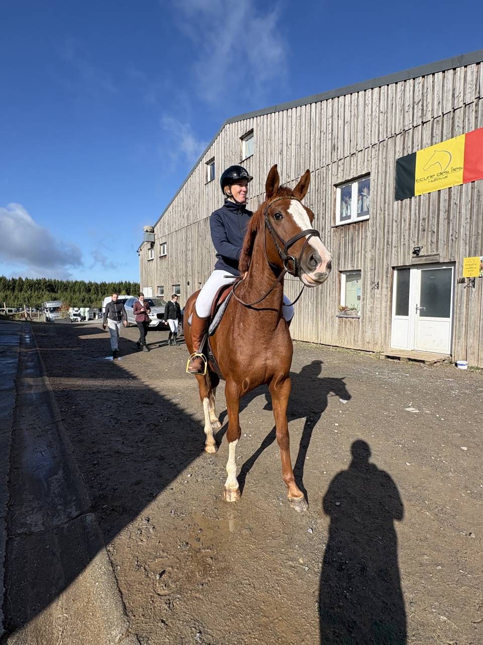 Superbe jument prometteuse en cso et cce  