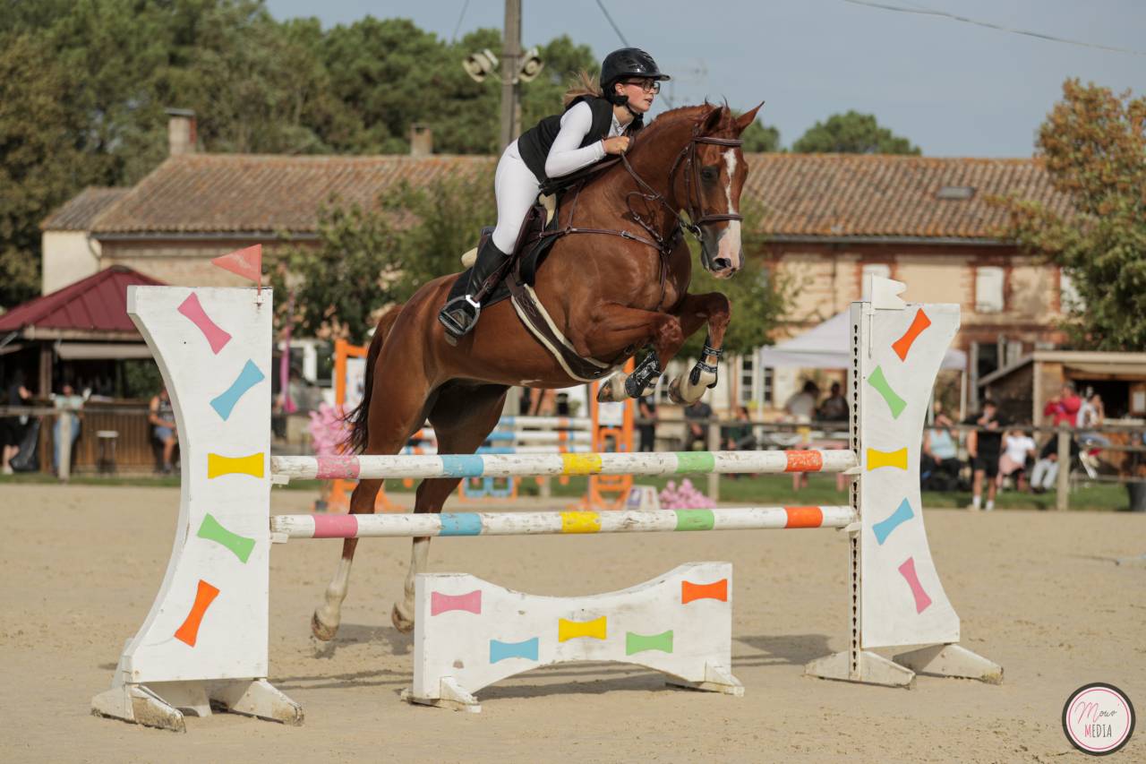 Cheval de sport 