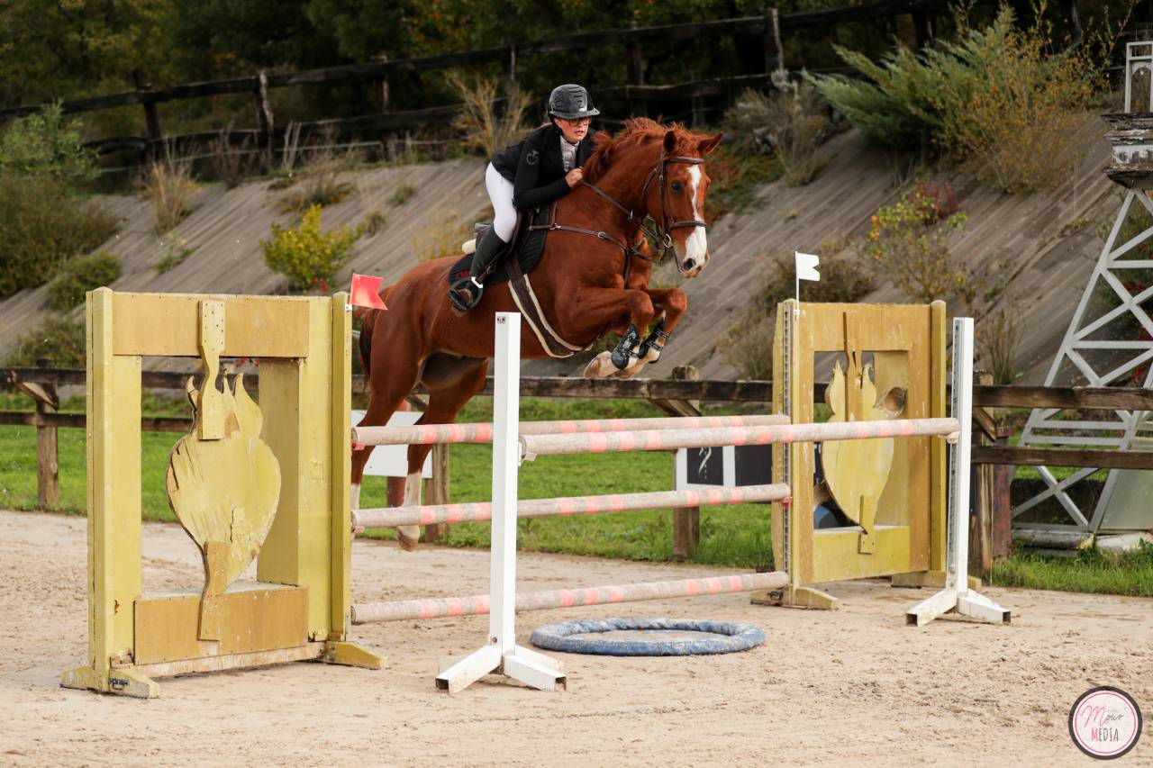 Cheval de sport 