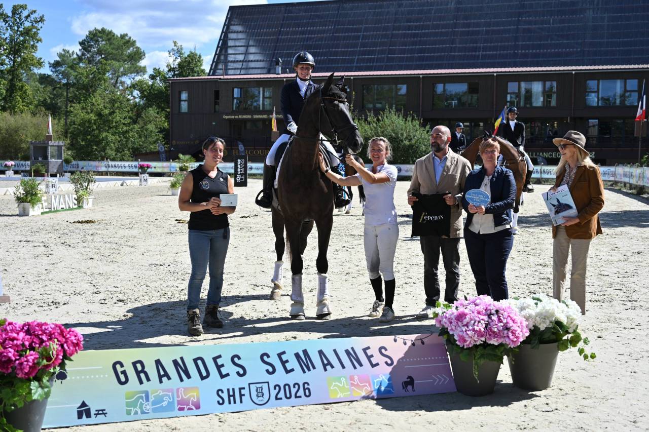 JUMENT DE DRESSAGE (CCE) &ndash; 4 ANS &ndash; JAYSON x GRIBALDI 