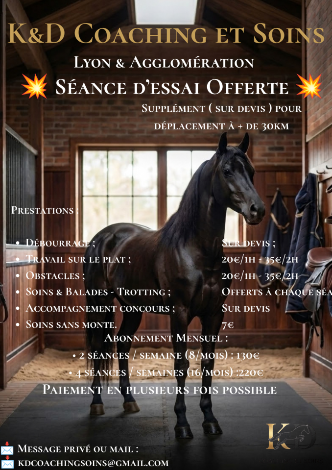 ✨ KD Coaching & Soins &mdash; L'Excellence &Eacute;questre &agrave; Lyon et