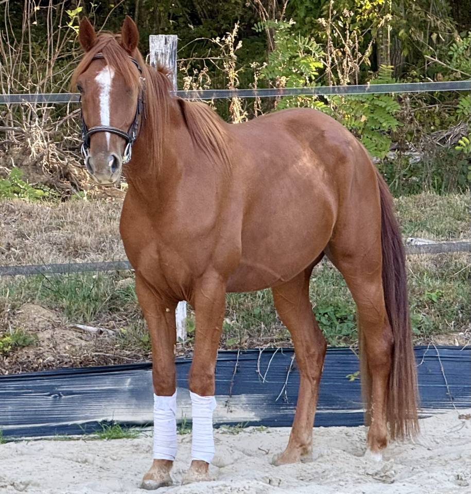 N&eacute;o, 3,5 ans 