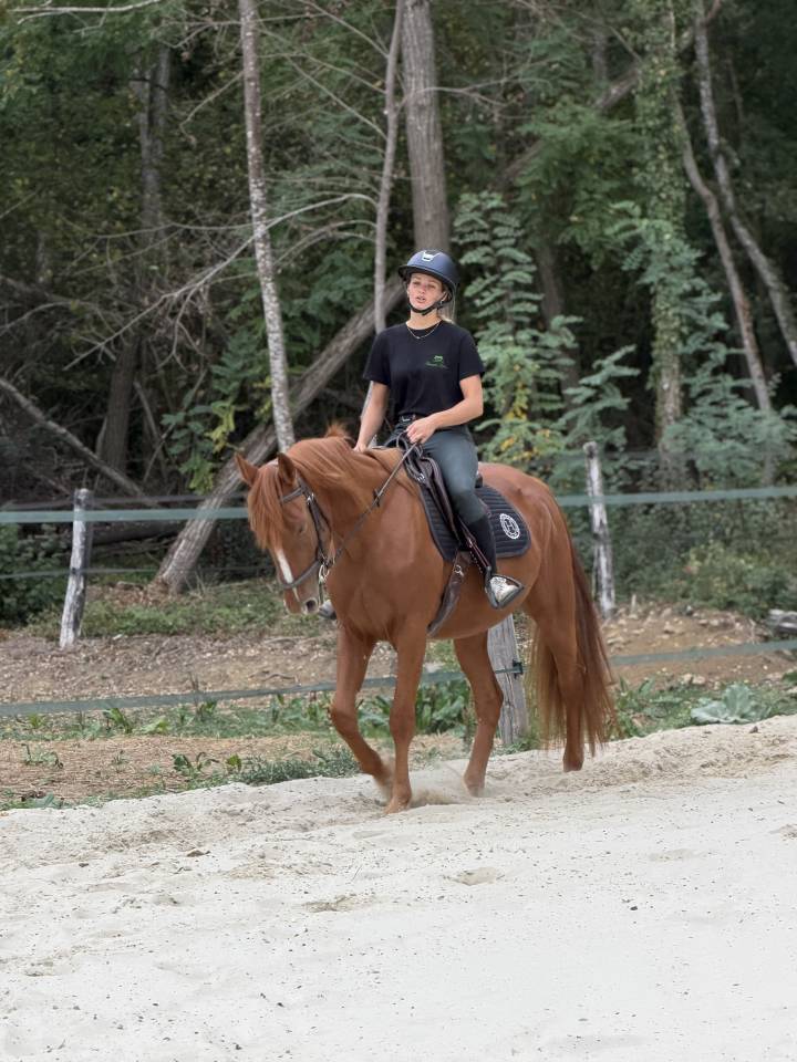 N&eacute;o, 3,5 ans 