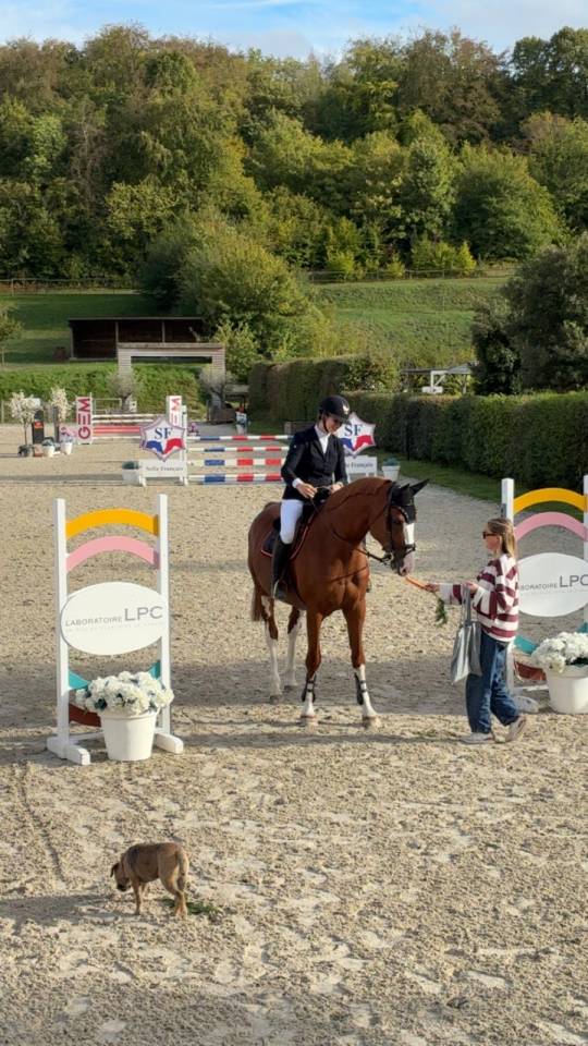 Cheval magnifique &agrave; vendre 