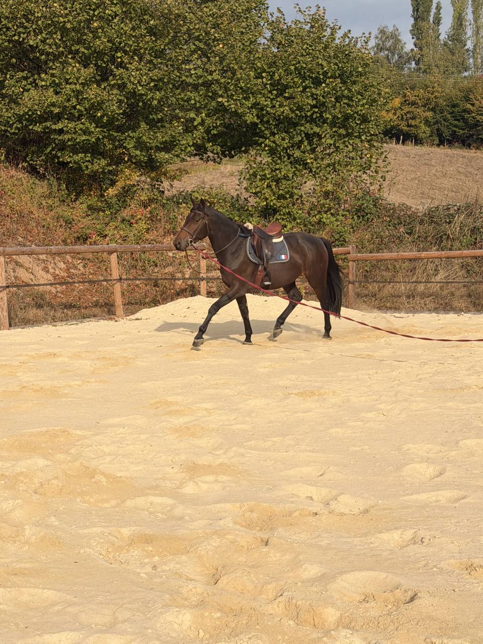 M&acirc;le CSAN/SFO 3 ans 